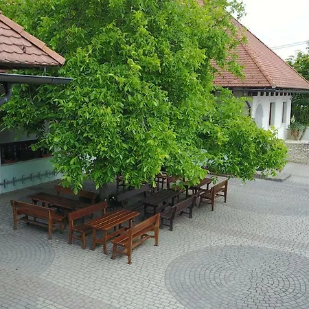 Hasik